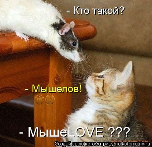 Поднимаем настроение