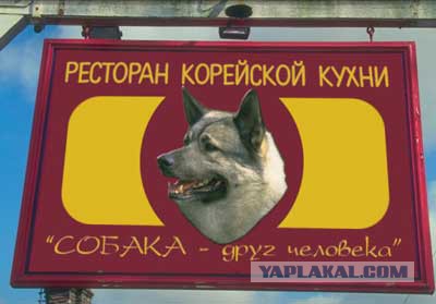Сетка от собак