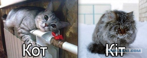 На улице заминусили