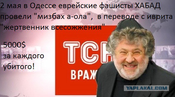 Выборы в Новороссии