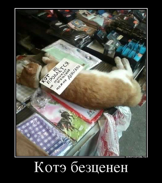 20 объявлений месяца, которыми мы гордимся
