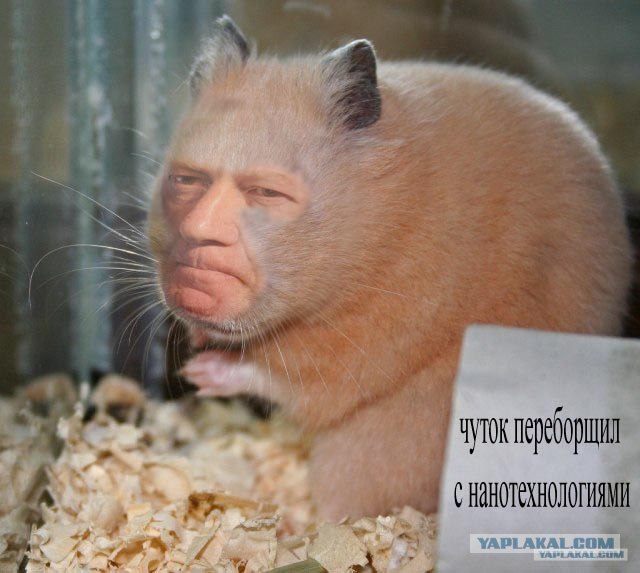 Чубайс на фоне ковра! С женой!
