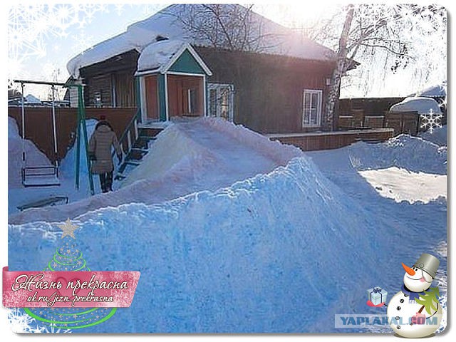 Весёлое из сети