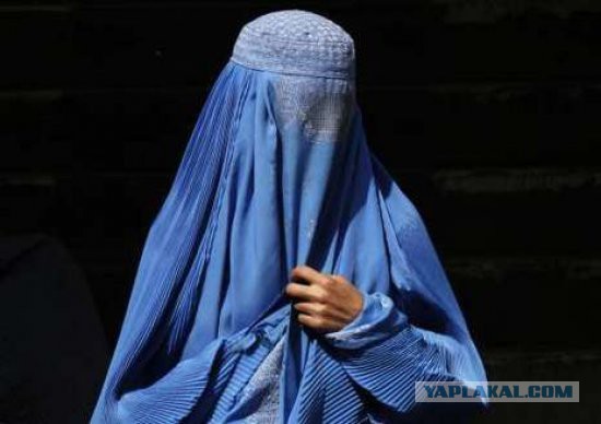 Мусульмане просят Путина