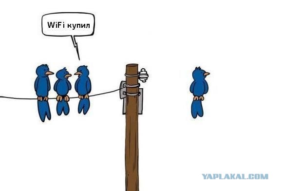 WiFi  и птички
