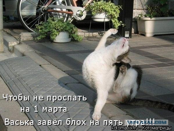 Чтобы не проспать