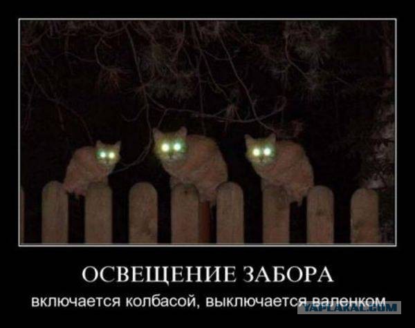 Пятничная подборка