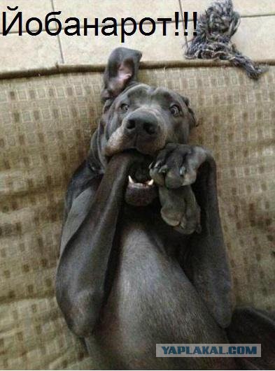 А не открыть ли нам