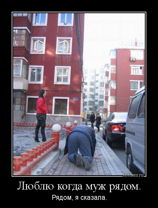 Алкопост.