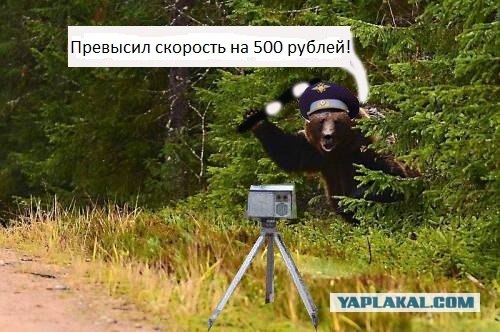 Фотожаба: Подвезите медведя