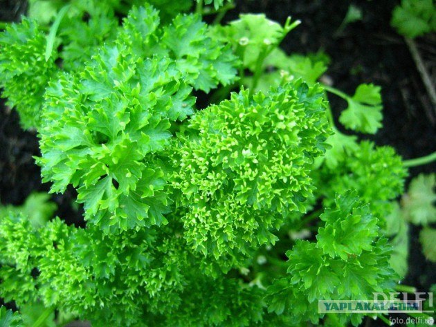 Делаем стол