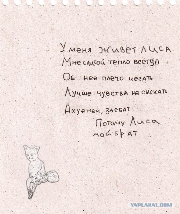 Воспевание бороды