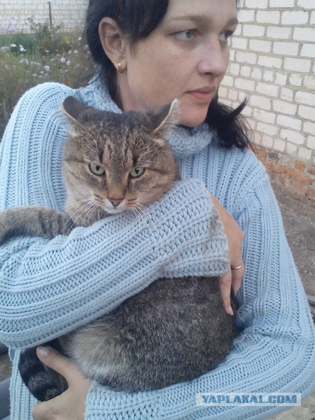 Котовторник 20.10.2015