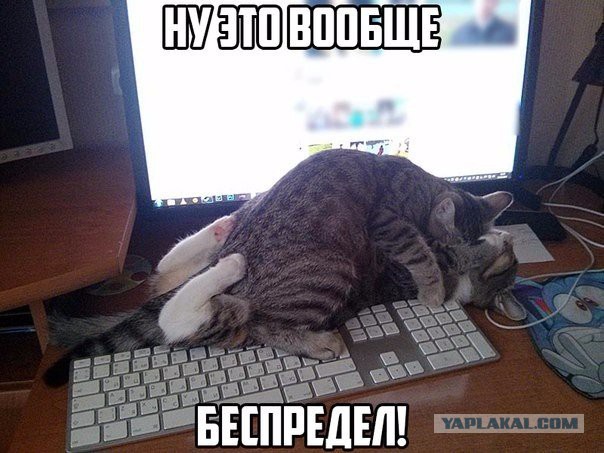 Заблокировать RuTracker не получится