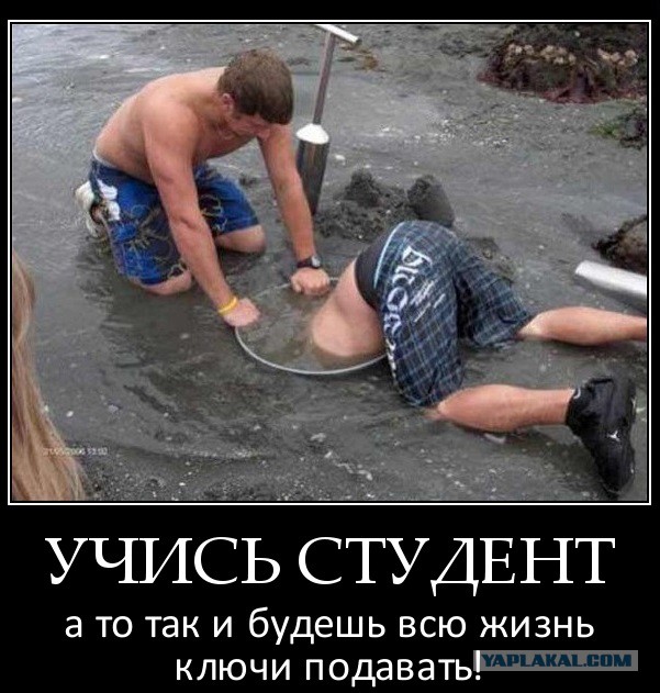 Устроился на новую работу