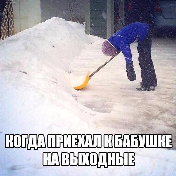 Картинки  из сети