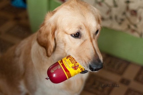 Подборка животных, которых застали за трапезой