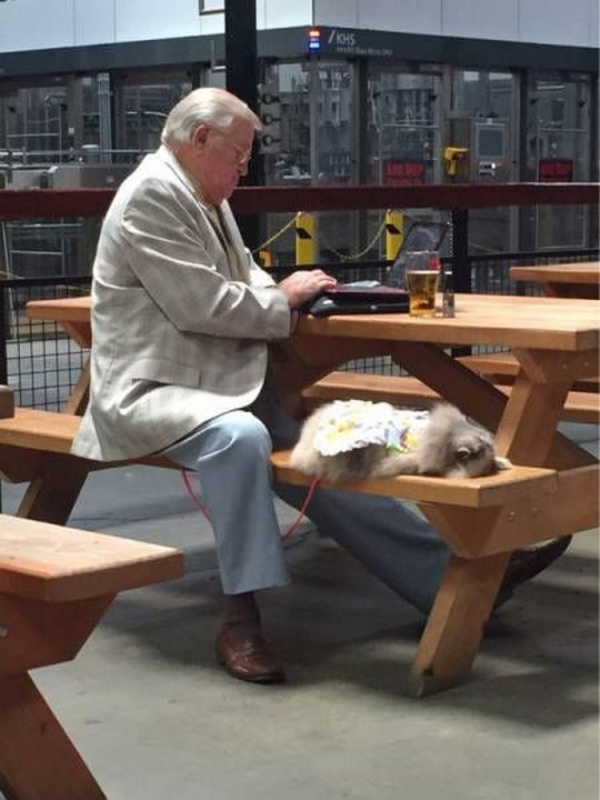 Картинки разные