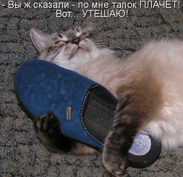 Мохнатые беспредельщики