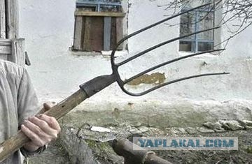 Сердюков прилетел к магазину в Рязани на вертолете