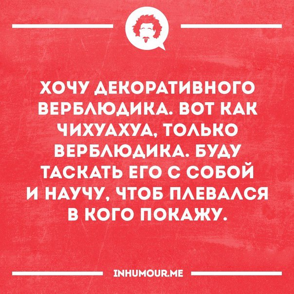 Интересные и веселые картинки