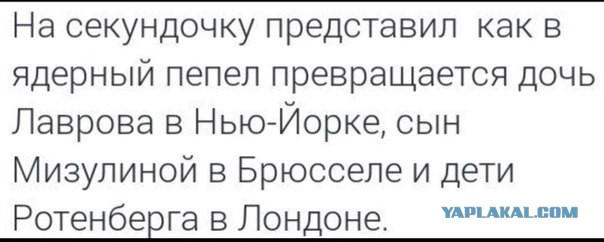 Генерал ВВС США объяснил необходимость сбивать российские самолеты над Сирией