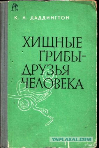 Современная трактовка Советских книг