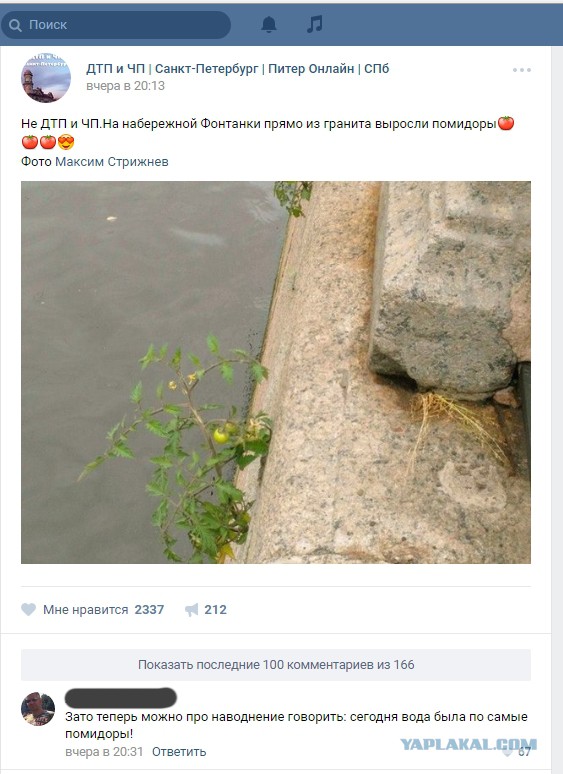 Ужасы и приколы из соцсетей 18+