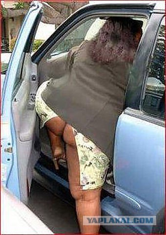 Яповцы, оновогоживайтесь!