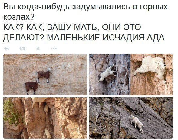 Подборка интересных и веселых картинок