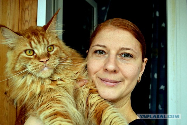 Джокер и его семья