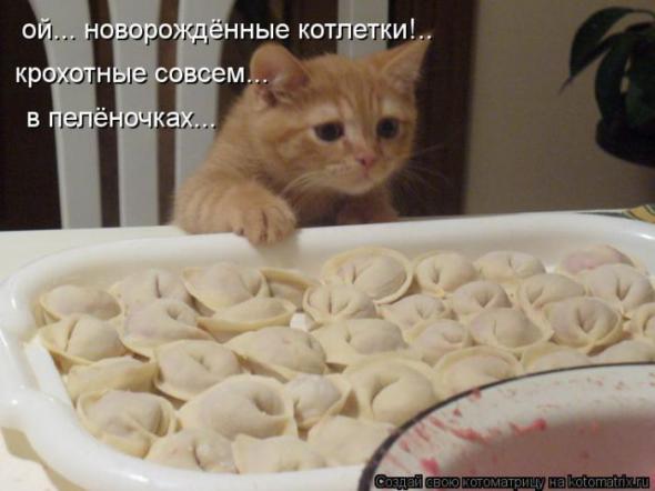 Подборка интересных и веселых картинок