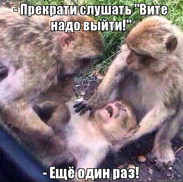 Подборка интересных и веселых картинок