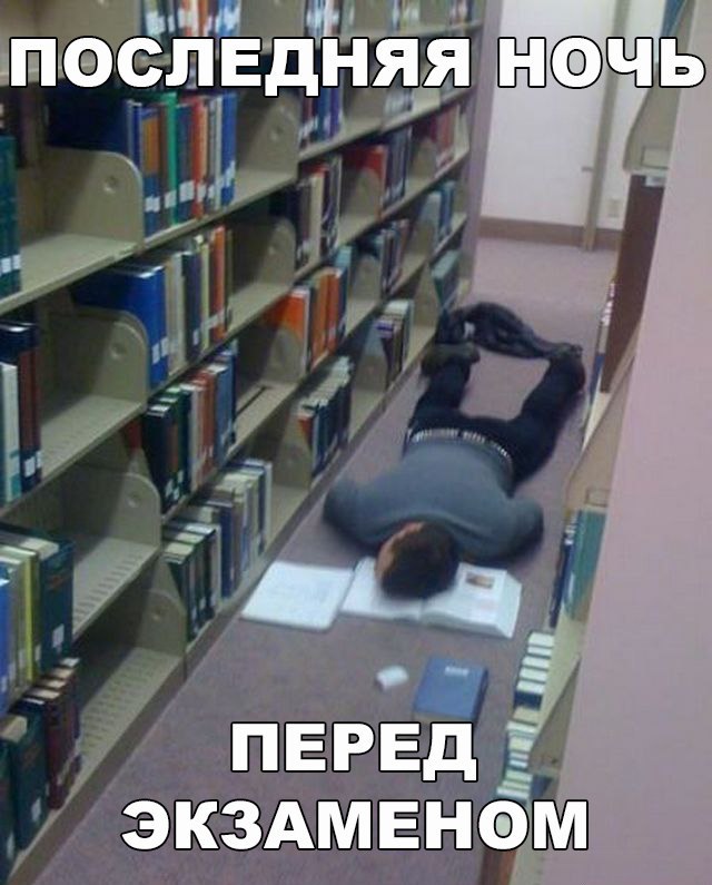 Подборка безудержного веселья