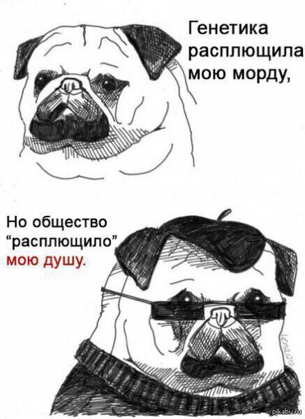Деградация на ЯПе