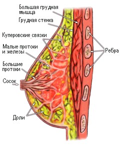 Мы еще никогда не видели человека таким, как на этих фотографиях