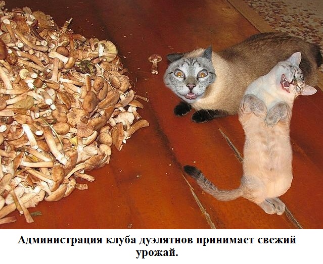 КОКОС 2.1. Награждение
