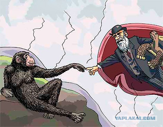 Что делать, если вы умерли ...