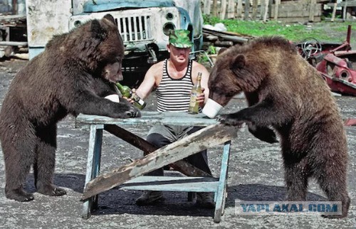 Медведь украл ящик водки
