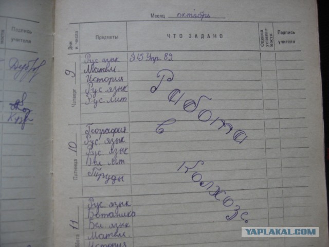 «На картошке». 21 ностальгическая картинка.