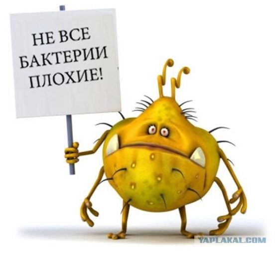 Российскую курятину признали опасной для жизни: накачана антибиотиками и бактериями