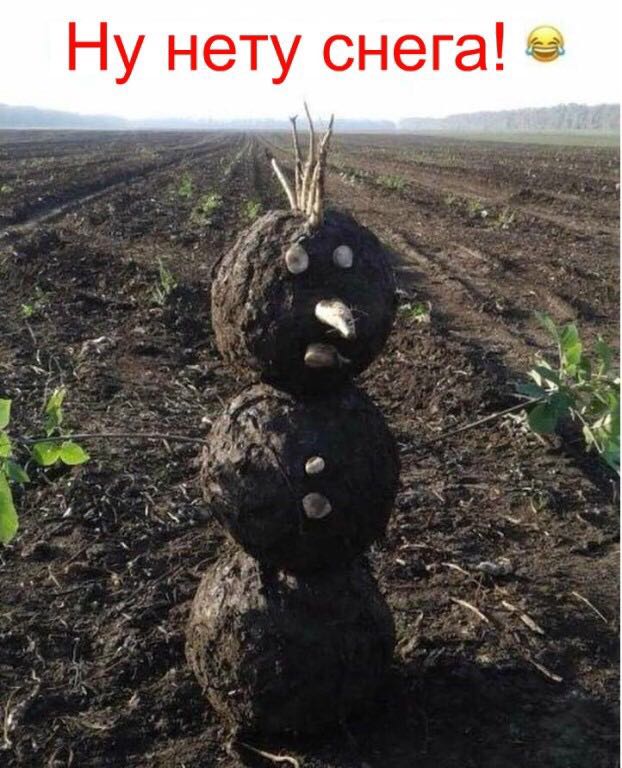 Как выглядят альбиносы разных рас?