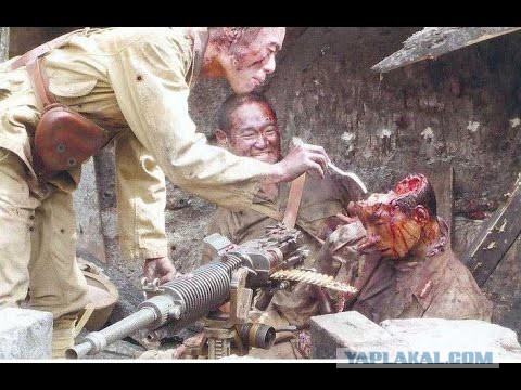 Национальное исландское блюдо ХАКАРЛ - гнилое мясо акулы
