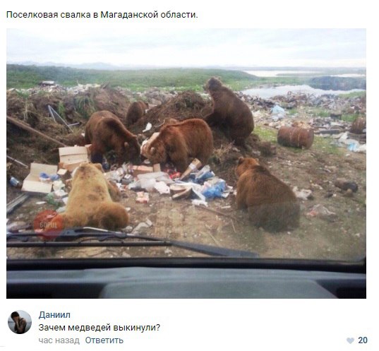 Нестандартный юмор