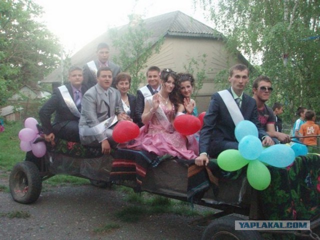 Чудики из социальных сетей
