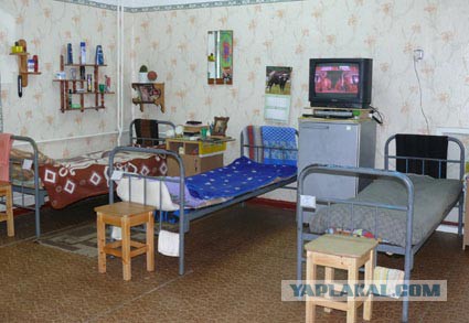 Синий кит уплыл, но обещал вернуться через 3 года