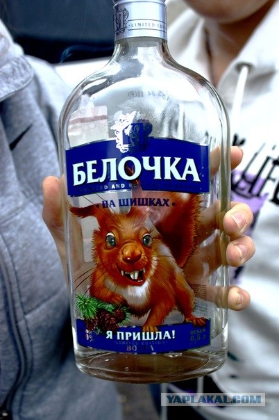 Белочки приходят разные