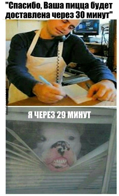 Картинки с текстом