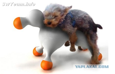 Угадайки
