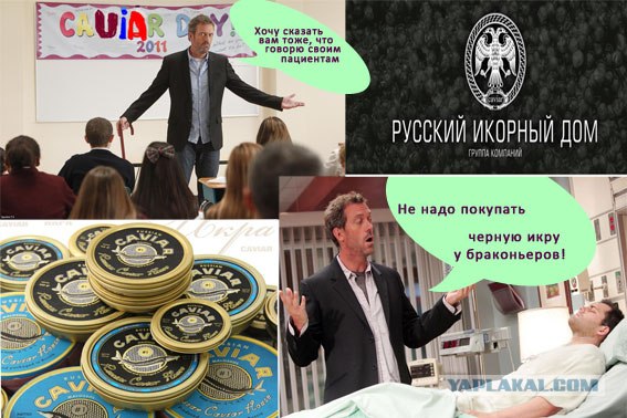 Конкурс на лучшую фотожабу против браконьеров.